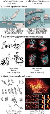 Multidisciplinarity Is Critical to Unlock the Full Potential of Modern Light Microscopy